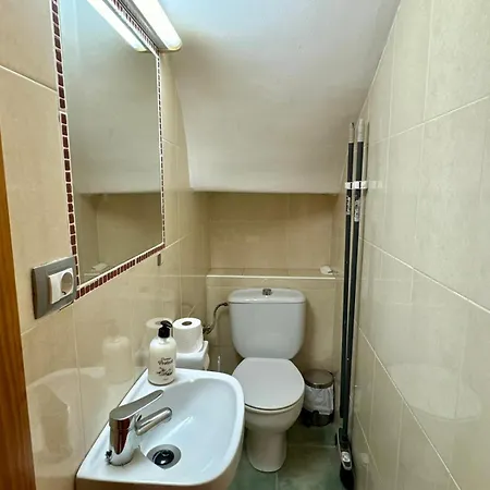 Oasis Lemon 마스팔로마스